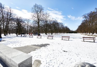 fot. Sebastian Glapiński / UMŁ