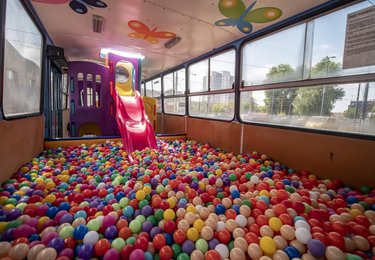 fot. Stefan Brajter / UMŁ