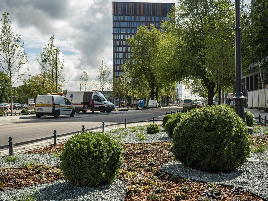 fot. Stefan Brajter / UMŁ