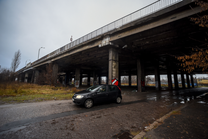 fot. Paweł Łacheta / UŁ