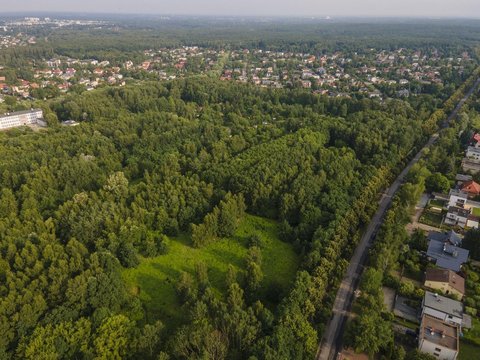 fot. Stefan Brajter / UMŁ