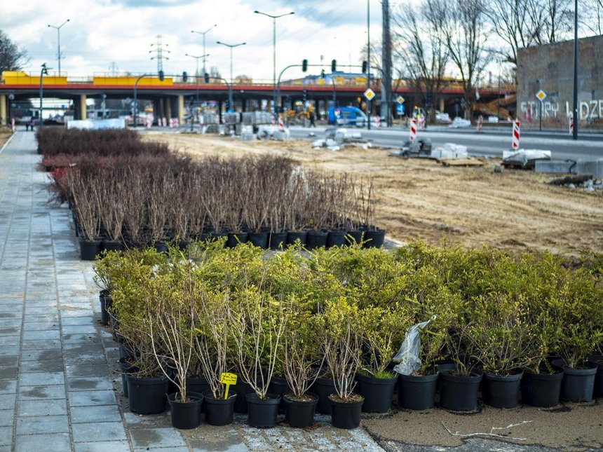 fot. Stefan Brajter / UMŁ