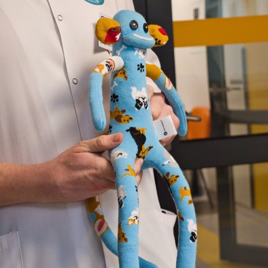 Na zdjęciu osoba w białym fartuchu trzyma miękką zabawkę. Zabawka jest jasnoniebieska, ma bardzo długie ręce i nogi, duże czarne oczy i uśmiech. Materiał ozdobiony jest wzorami psów, a uszy są kolorowe. Tło wygląda jak jasny korytarz z przeszklonymi drzwiami.