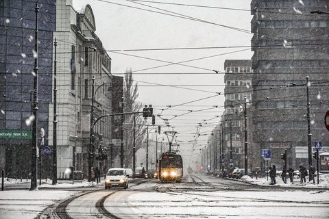 fot. Grzegorz Sikora / UMŁ