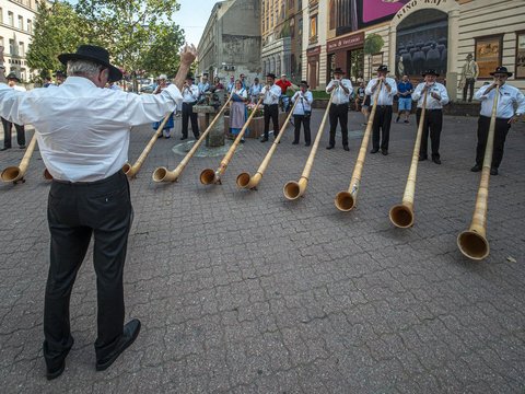 fot. Stefan Brajter / UMŁ