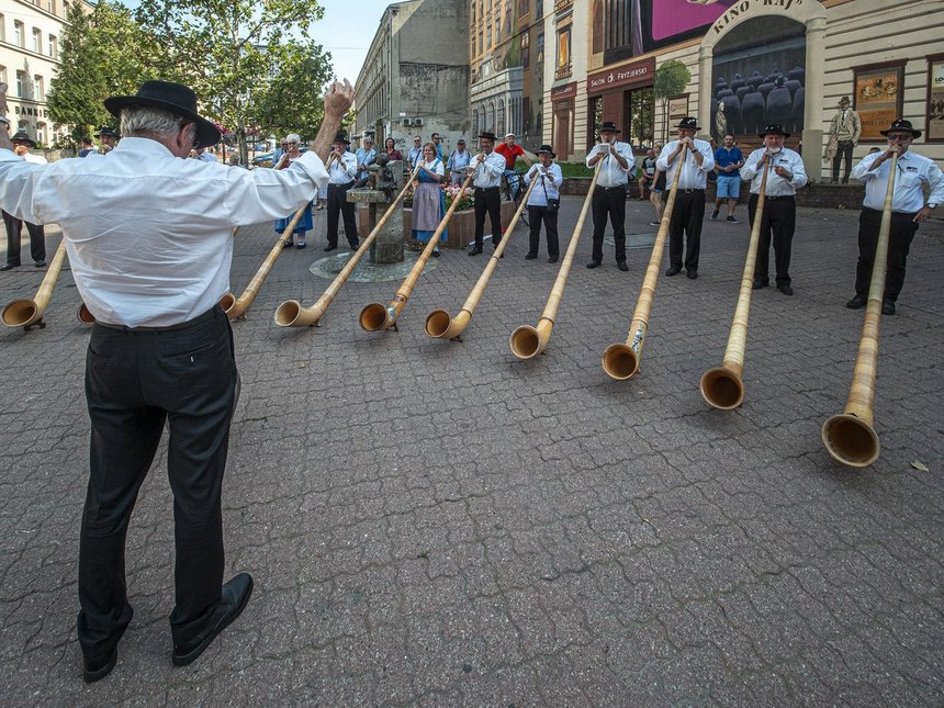 fot. Stefan Brajter / UMŁ