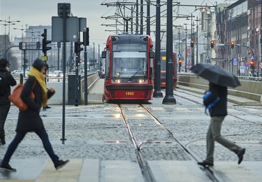 fot. Radosław Jóźwiak / UMŁ