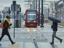 fot. Radosław Jóźwiak / UMŁ