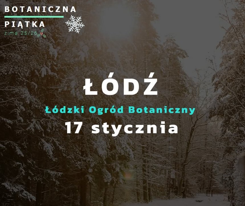 Plakat z zimowym, ciemnym tłem lasu. Na środku duży biały napis „ŁÓDŹ”, pod nim „Łódzki Ogród Botaniczny” oraz data „17 stycznia”. W lewym górnym rogu logo i napis „Botaniczna Piątka”. Jasny tekst wyraźnie kontrastuje z tłem.