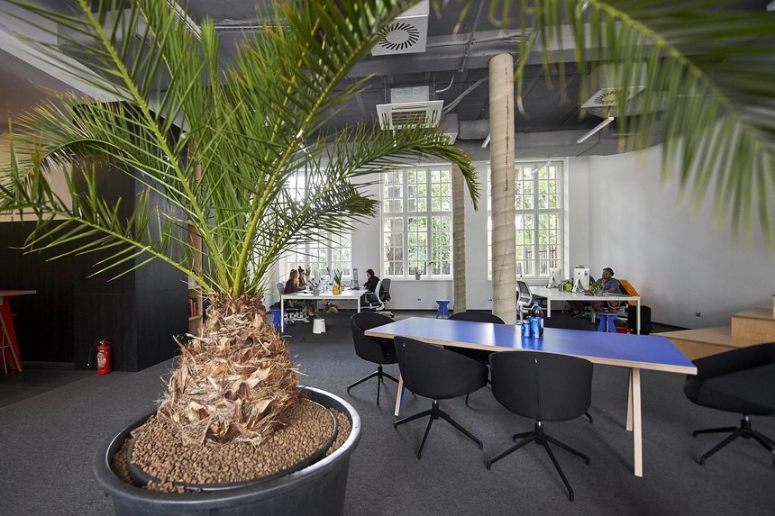 fot: Radosław Jóźwiak/UMŁ