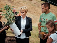 Nowy klon w parku Julianowskim. To symbol wsparcia dzieci z niepełnosprawnościami fot. Radosław Żydowicz / UMŁ
