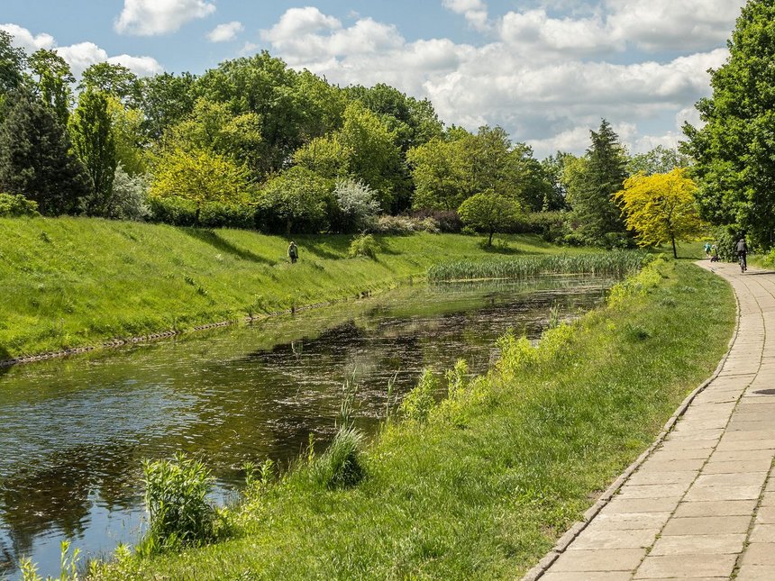 fot. Stefan Brajter / UMŁ