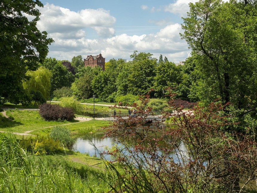 fot. Stefan Brajter / UMŁ