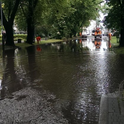 Bałuty. Skutki porannej nawałnicy, fot. Hanna Zubrzycka / UMŁ