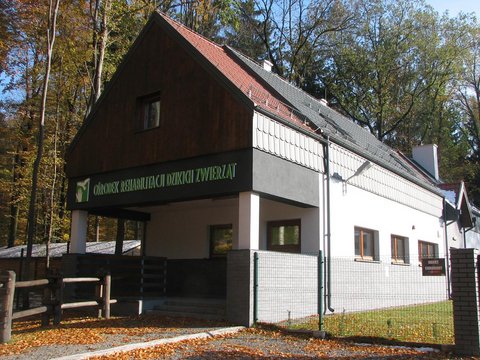fot. Leśnictwo Miejskie w Łodzi