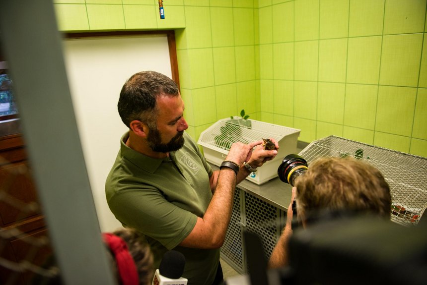 fot. Witold Ancerowicz / UMŁ 