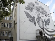 fot. Paweł Łacheta / UMŁ