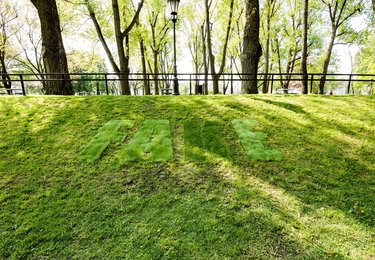 fot. Sebastian Glapiński / UMŁ