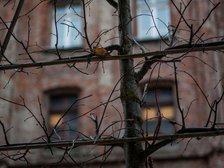 fot. Witold Ancerowicz