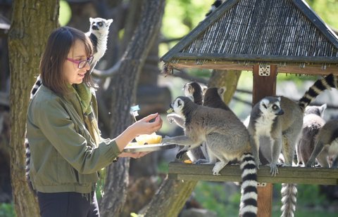 fot. Paweł Łacheta / UMŁ