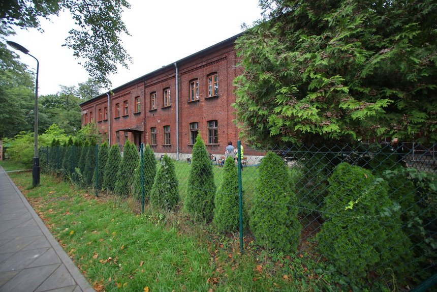 fot. UMŁ