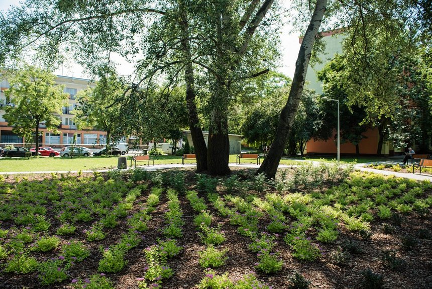 Nowy skwer powstał między ulicami Cieszkowskiego i Przyszkole - takiego miejsca do spotkań, odpoczynku czy zabawy z dziećmi potrzebowali mieszkańcy okolicznych bloków fot. Radosław Żydowicz / UMŁ