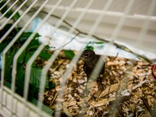 fot. Witold Ancerowicz / UMŁ 