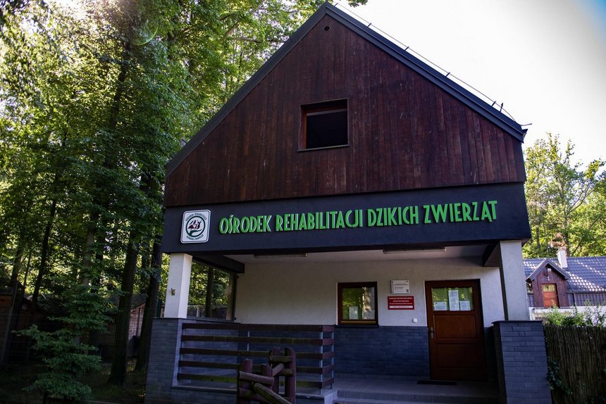 fot. Witold Ancerowicz / UMŁ 